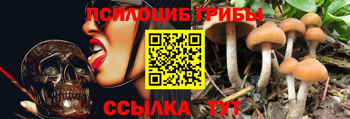 Галлюциногенные грибы мухоморы Азов