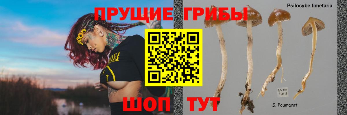 Азов  магазин    Вход с VPN  Псилоцибиновые грибы прущие грибы 